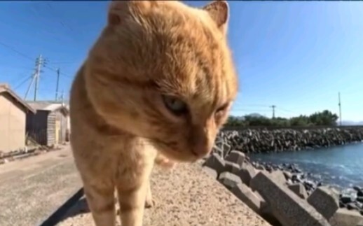 ดูเรื่องสนุกๆ