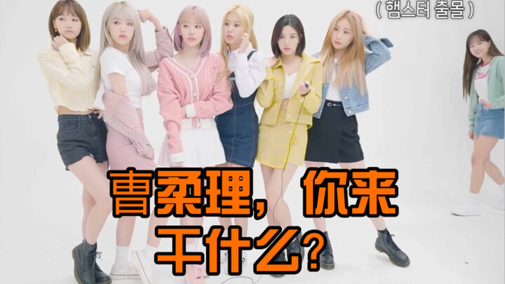 曺柔理，你来干什么？