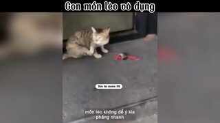 Con mồn lèo vô dụng #meme