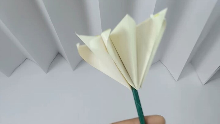 A Flower That Waited to Be Loved…