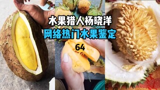 【水果猎人】网络热门水果鉴定64