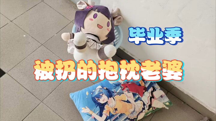 毕业季那些被宅男扔掉的动漫抱枕【第十八期】