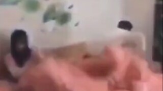 有点过于刺激了