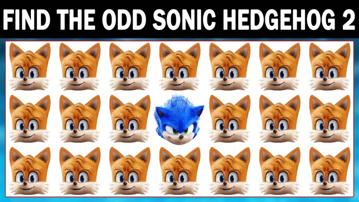 SONIC THE HEDGEHOG 2 Puzzls # 87 | Spot The Difference Sonic 2