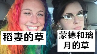 【原神】来 点 弔 图 #31