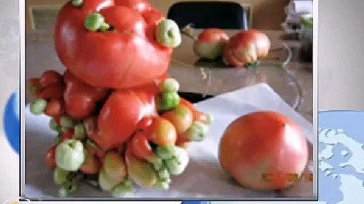 After nuclear contamination, this could be the kind of menu on your and my dinner table—let the “dev