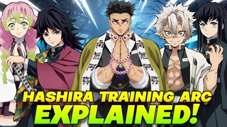 Demon Slayer Hashira Training Arc Explained In 5 Minutes!