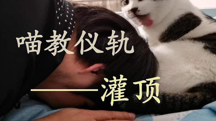 超治愈的地球猫猫教仪轨——灌顶