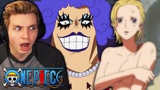 WHAT IS IVAN'S POWER?? (One Piece Reaction)