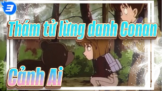 [Thám tử lừng danh Conan] Cảnh Ai/ TV212(228)-1 Mushroom,Mountain Bear & Detectives Team_3