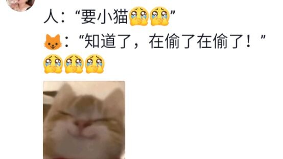 Li Hua: Hei, orang baikku suka kucing kecil, kalau begitu biar aku bikin sesuatu untuknya saja 🐱