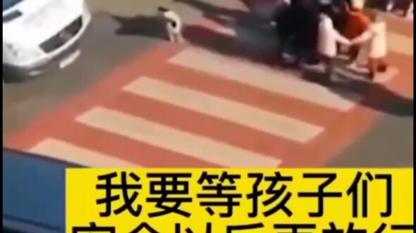 The dog escorts the kid across the street every day—time for an extra chicken leg tonight!