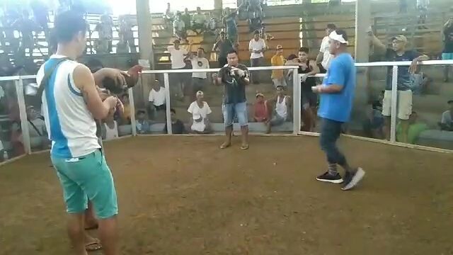 tinalo nanaman Po tau