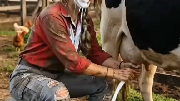 A vingança da Mimosa. 😂🐄 Na roça, até a vaca resolve participar da brincadeira! Eu só queria grava