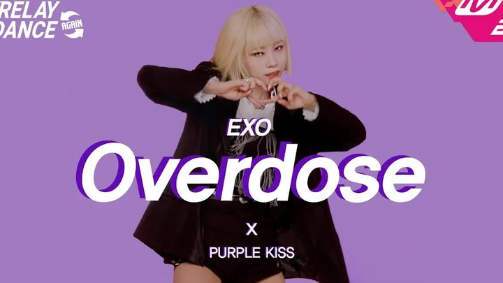 PURPLE KISS Cover Dance of EXO’s “Overdose” Official Video