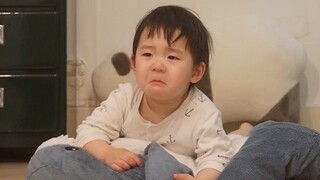 看小蝌蚪找妈妈的条条