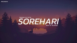 #หลายคนตามหา | SOREHARI (Trending on Tiktok 2020) NEiXREMIX