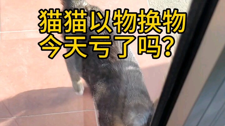 The world is falling apart, but the little cat mends it piece by piece.