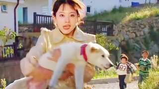 "Rich woman, stealing dogs online", this part is really hilarious, hahahaha