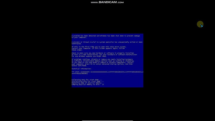 Baby Shark Has BSOD VM