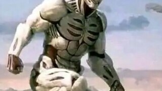 Penyu Sun Reiner