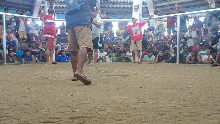 1st fight loss sayang