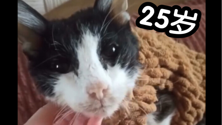 Dalechka will turn 25 this summer.