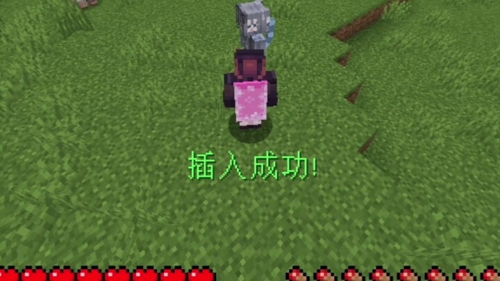 当可插入末地烛联动猫娘模组