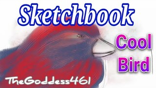 Cool Bird - SketchBook | TheGoddess461