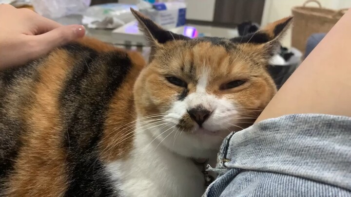 คุณเมฆค่ะ น้องจะขบฟันทำมายยยยยน