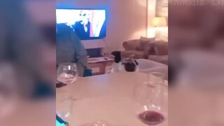 Cười ra nước mắt với những tình huống này #53