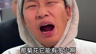 打卡河南开封菊花节，感觉这辈子的菊花都看了，结局很完美！