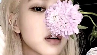 Rose aesthetic