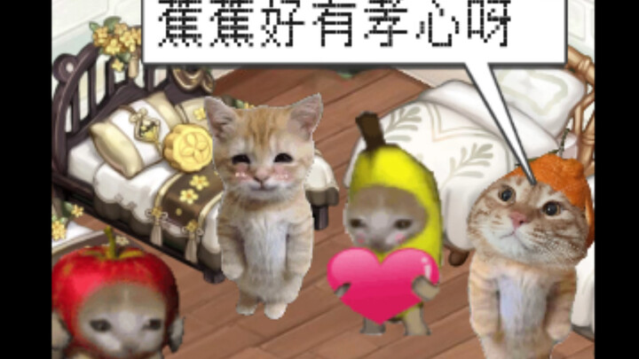 Chuyến phiêu lưu kỳ thú của Mèo Chuối khi về nhà nghỉ lễ