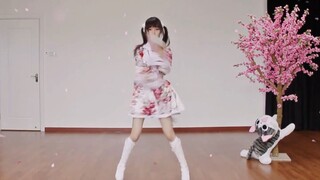 【镜面扒舞自用】千本樱