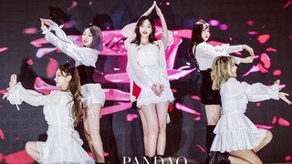 【PANDAQ】上海颜值团超美《La Vie en Rose》翻跳现场（MAMA Ver.）KDS韩舞翻跳比赛