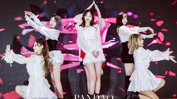 【PANDAQ】上海颜值团超美《La Vie en Rose》翻跳现场（MAMA Ver.）KDS韩舞翻跳比赛