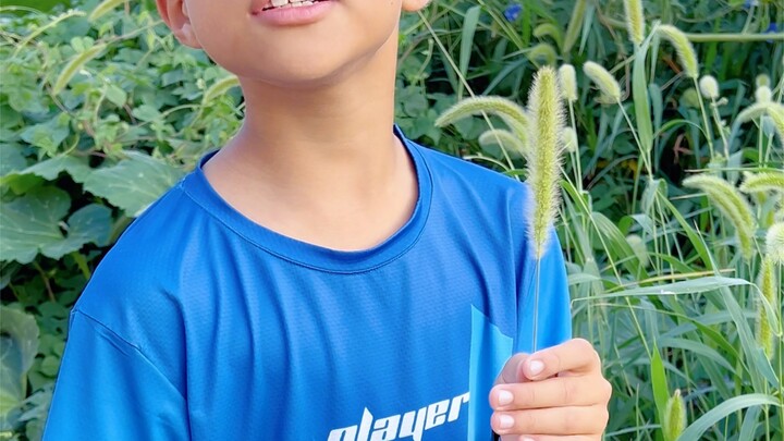 هكذا جاءت شاومي في الأصل.