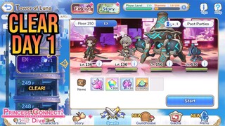 Tower of Luna Floor 250 & 250 EX | Princess Connect! Re:Dive