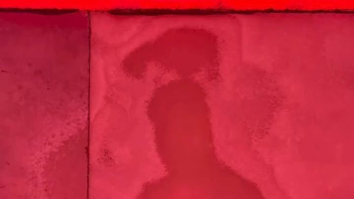 يا عباس #العتبة_العباسية_المقدسة #مشهور #trend #trendingnow #كربلاء_المقدسة ………………..🥹❤️‍🩹💔😭🥹