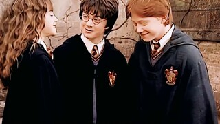 [hp|Melihat pertumbuhan trio di Harry Potter dari perubahan tinggi badan]