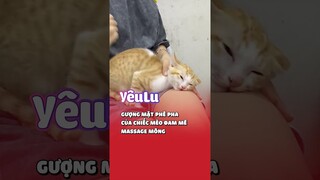 Coi cái mặt phê kìa 🤣 #Shorts #Yeulu #Yeuluofficial