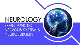 Neurology - Brain Function, Nervous System & Neurosurgery