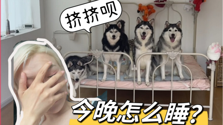 I was planning to just sleep on the small single bed myself to save on electricity, but tonight is c