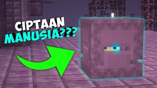 5 Hal Yang Belum TERUNGKAP Di Minecraft