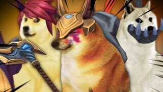 Shurima Ascendant Employment Experience