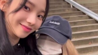 القطة الصغيرة نينغ ييتشوو تستند بحنان إلى حضن أختها الكبرى! يو نينغ ترتقي في التصنيف!!