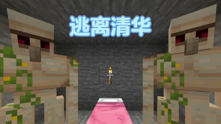 I almost got taken in by Tsinghua just because I played Minecraft