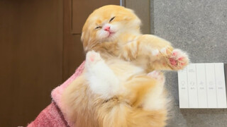 ช่างเถอะ...ยังไงก็ไม่ต้องไปโรงเรียนอยู่แล้ว