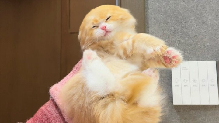 Sudahlah... toh tidak perlu sekolah juga